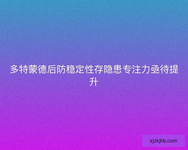 多特蒙德后防稳定性存隐患专注力亟待提升