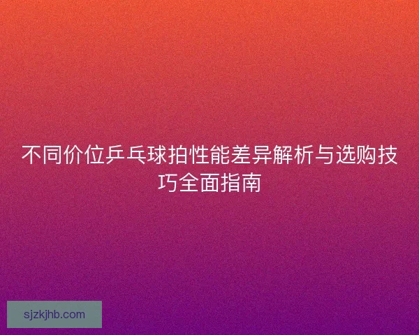 不同价位乒乓球拍性能差异解析与选购技巧全面指南