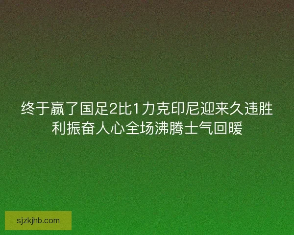 终于赢了国足2比1力克印尼迎来久违胜利振奋人心全场沸腾士气回暖